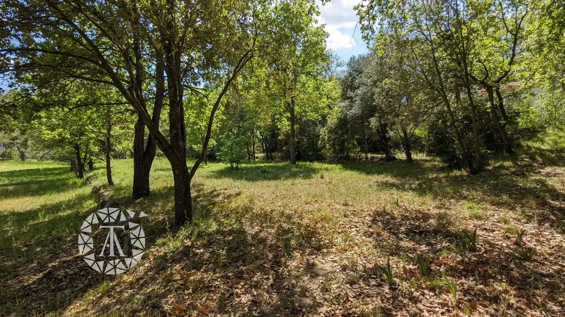 Terrain constructible de plus de 3000 m² à Villelongue-dels-Monts avec vue et calme 