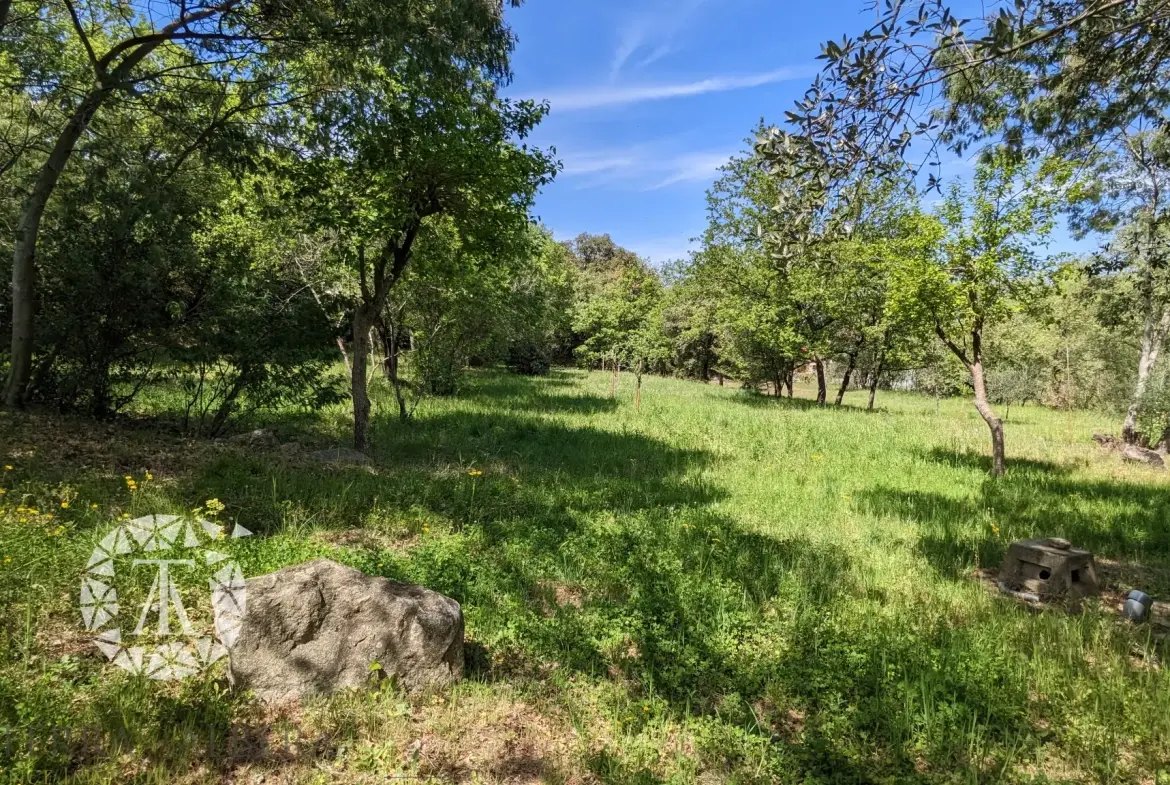 Terrain constructible de plus de 3000 m² à Villelongue-dels-Monts avec vue et calme 