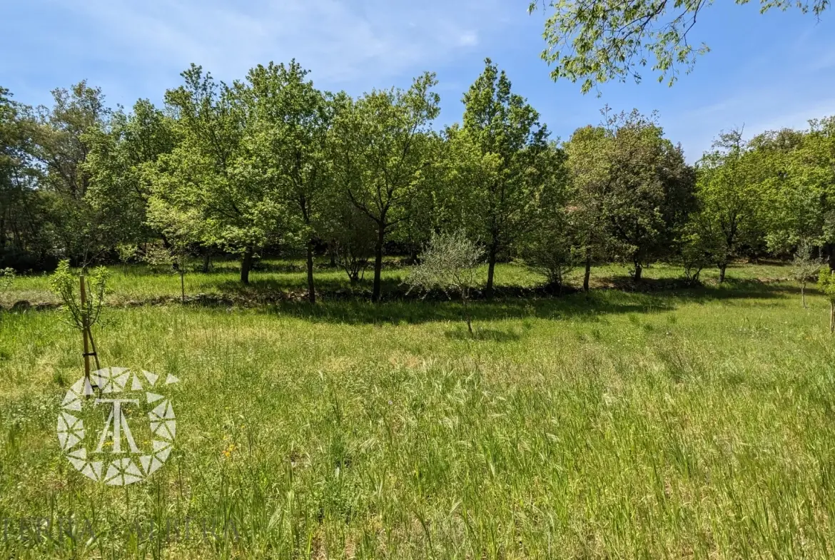 Terrain constructible de plus de 3000 m² à Villelongue-dels-Monts avec vue et calme 