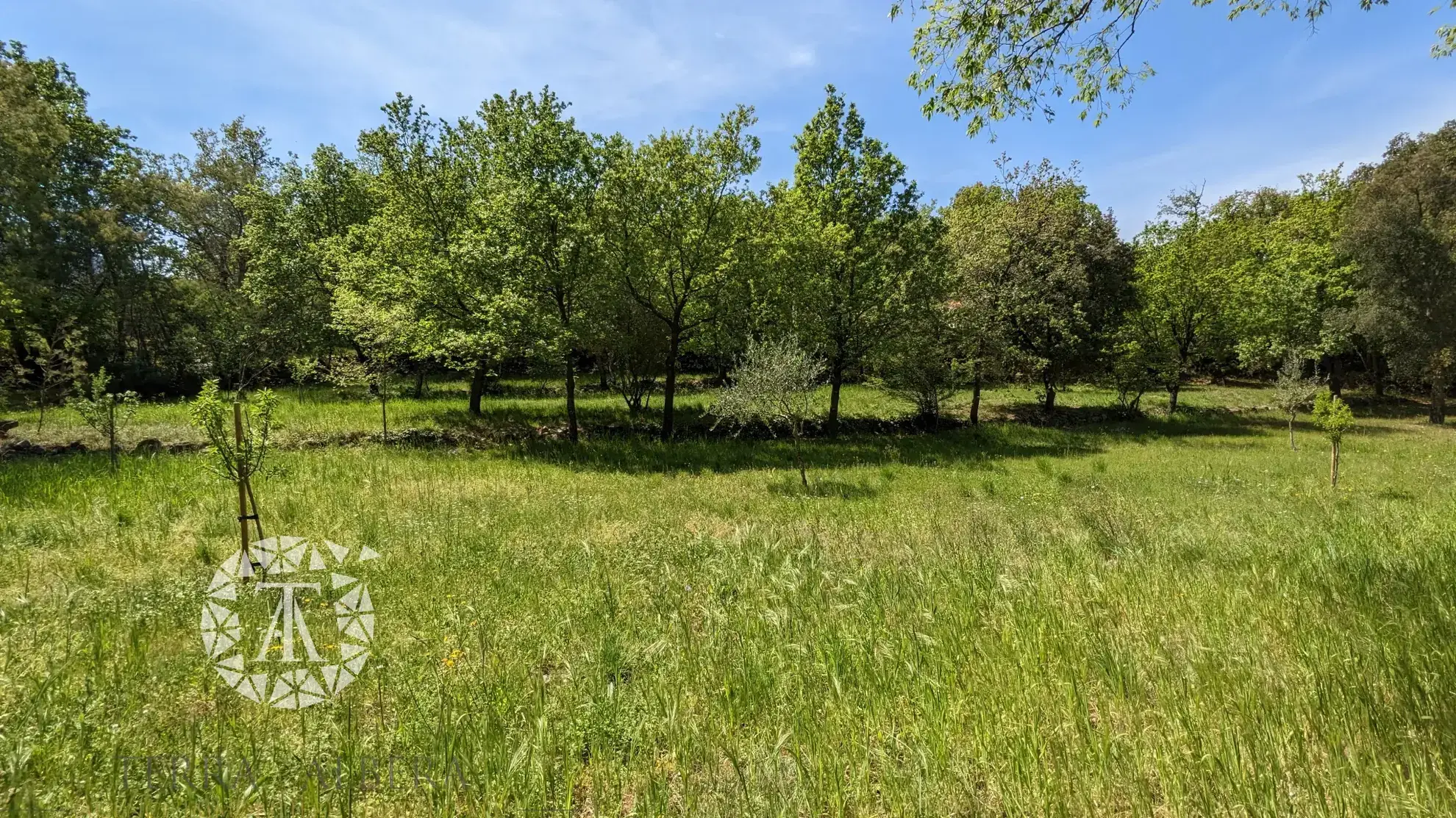 Terrain constructible de plus de 3000 m² à Villelongue-dels-Monts avec vue et calme 