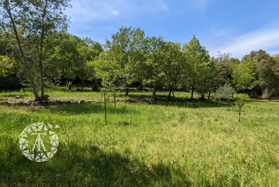 Terrain constructible de plus de 3000 m² à Villelongue-dels-Monts avec vue et calme 