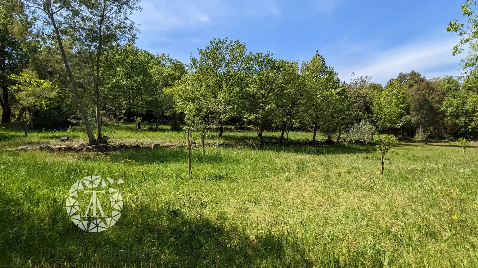 Terrain constructible de plus de 3000 m² à Villelongue-dels-Monts avec vue et calme 