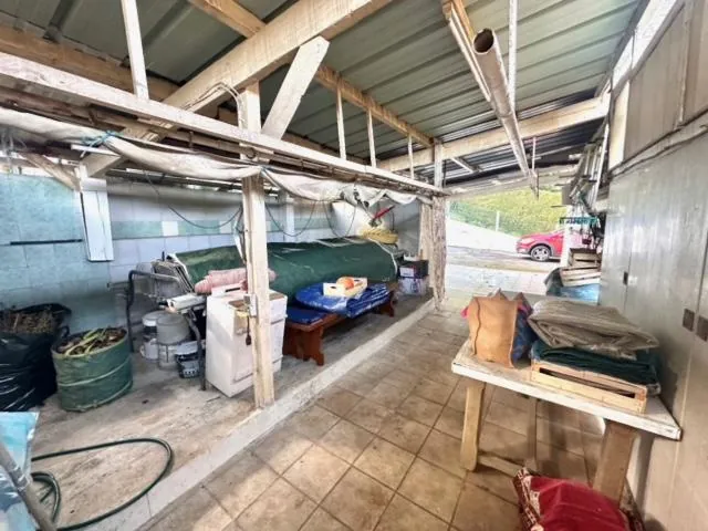 Vente de nue-propriété d'une maison spacieuse à Louey, secteur recherché 