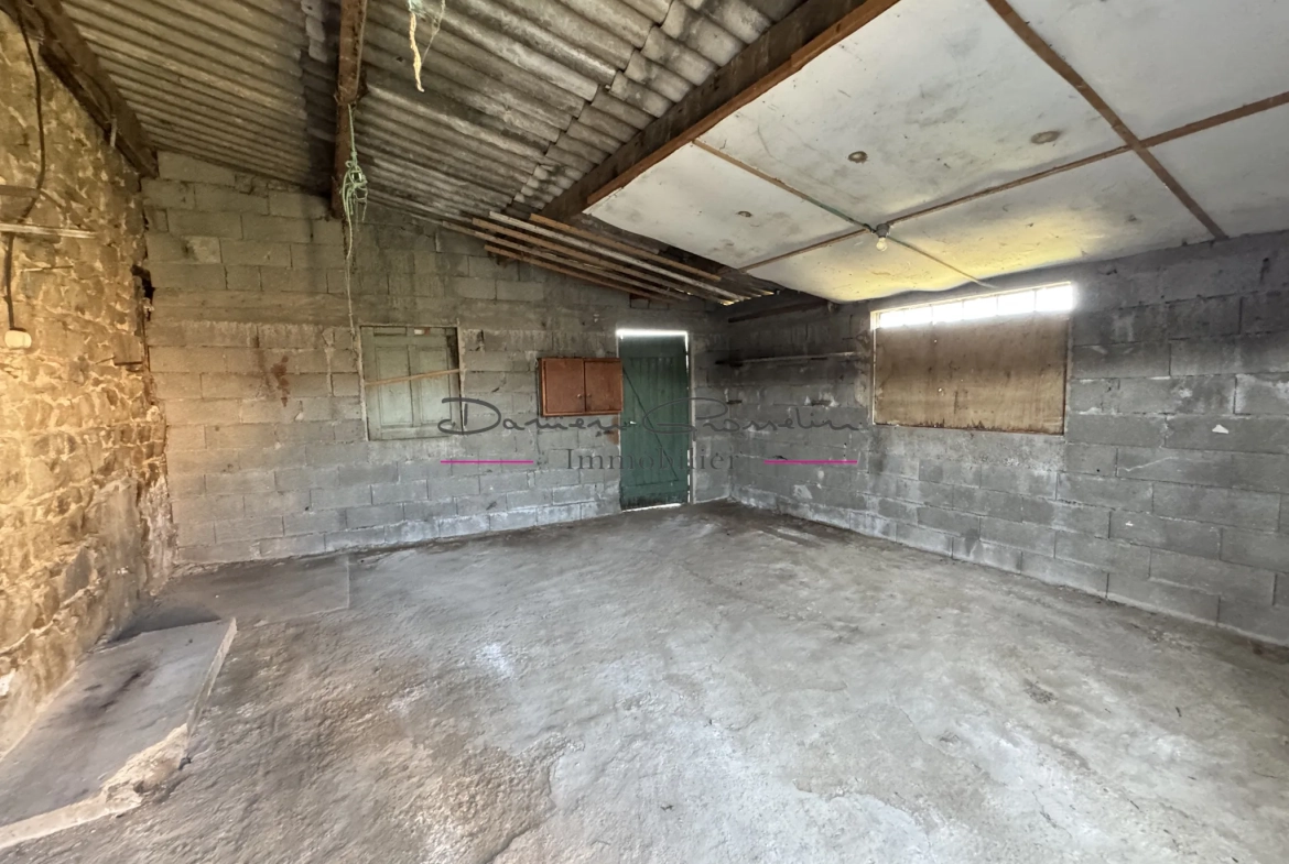 Belle maison de 119 m² à Saint-Victor-sur-Rhins avec dépendances et terrain 