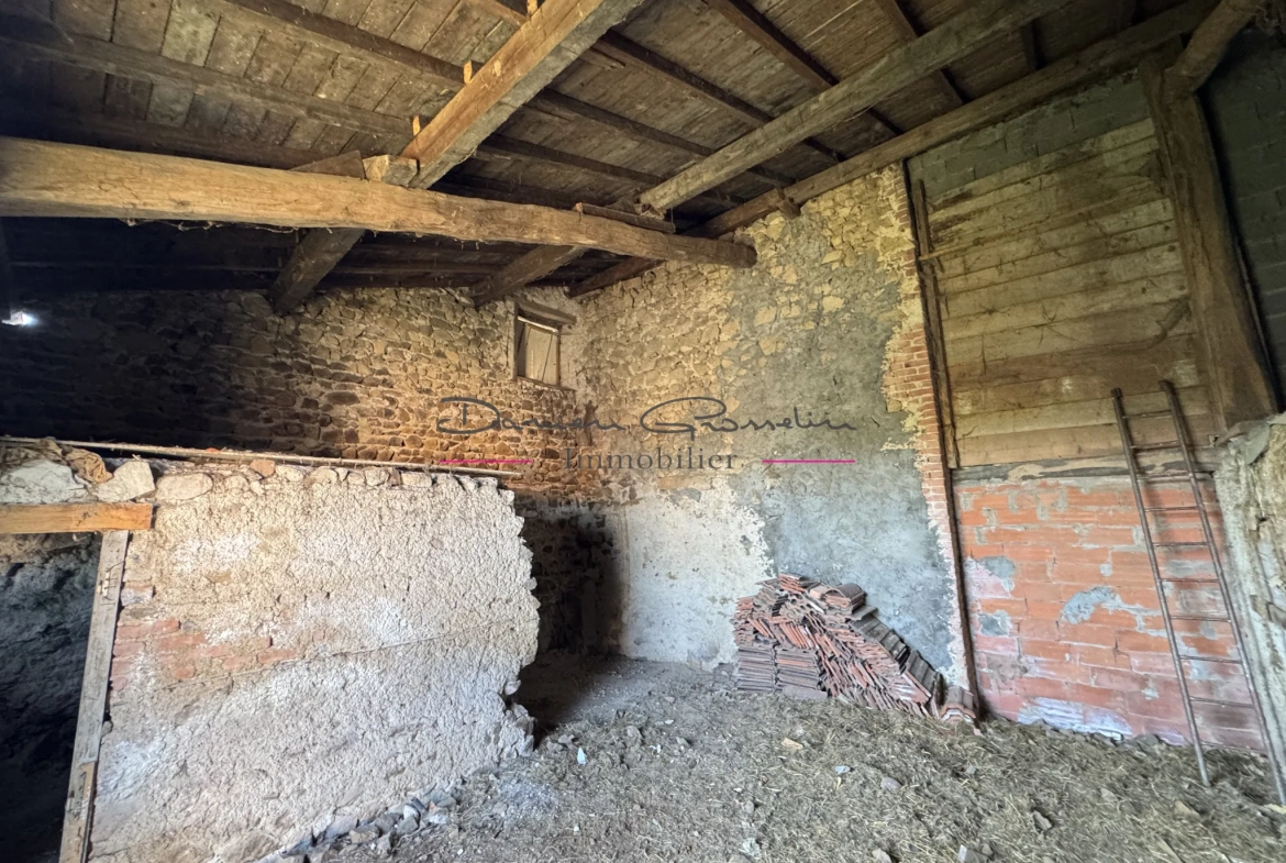 Belle maison de 119 m² à Saint-Victor-sur-Rhins avec dépendances et terrain 