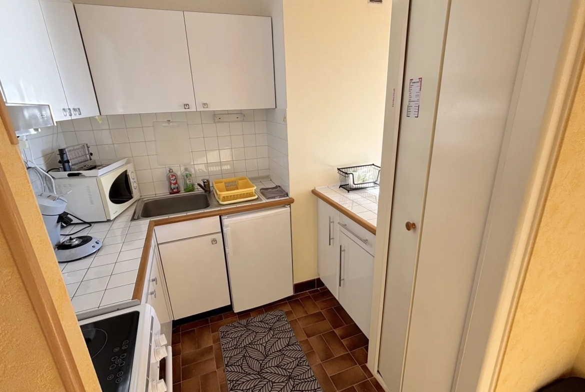 Appartement F2 avec terrasse ensoleillée et vue mer à Carnon-Plage 