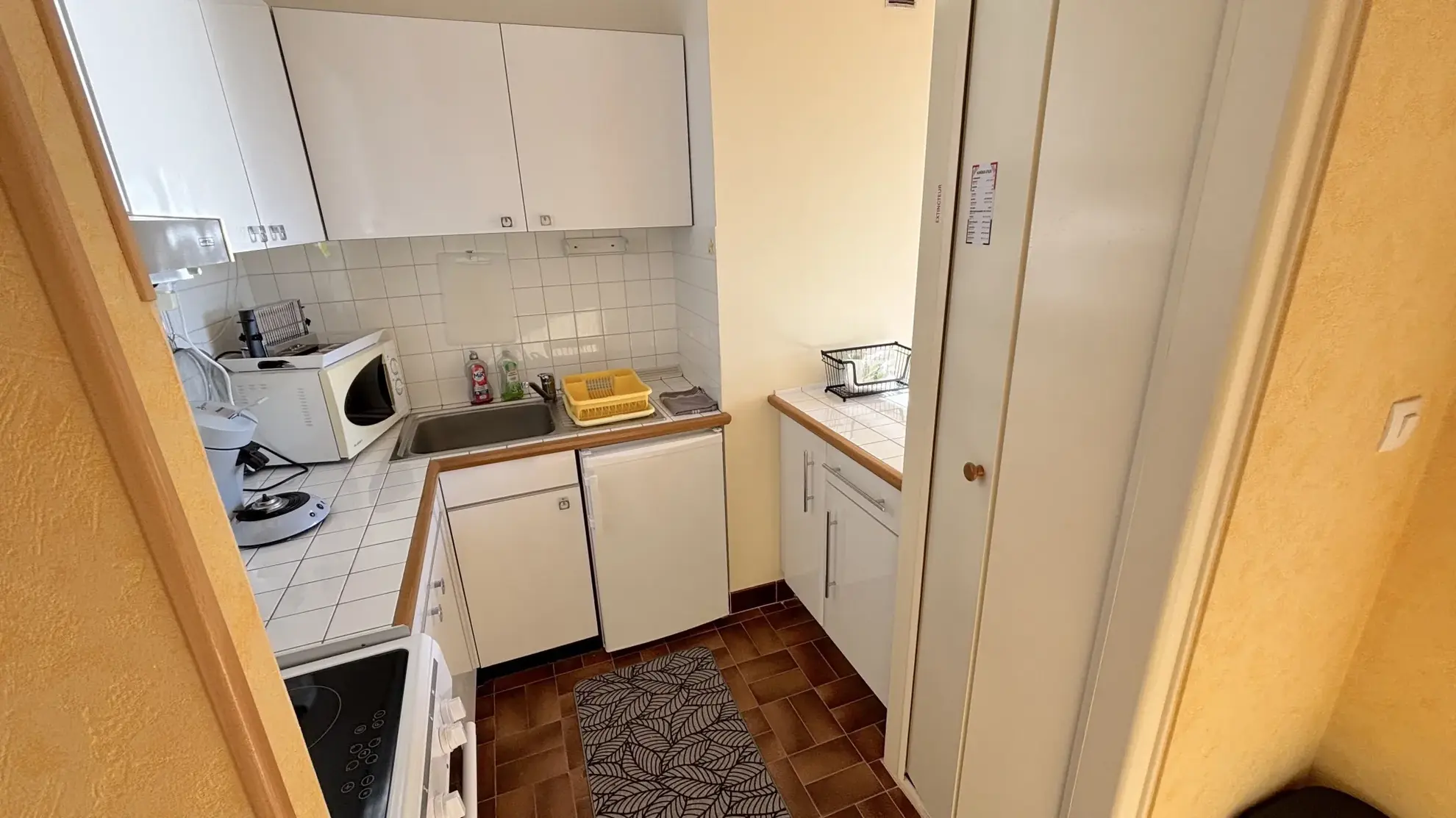 Appartement F2 avec terrasse ensoleillée et vue mer à Carnon-Plage 