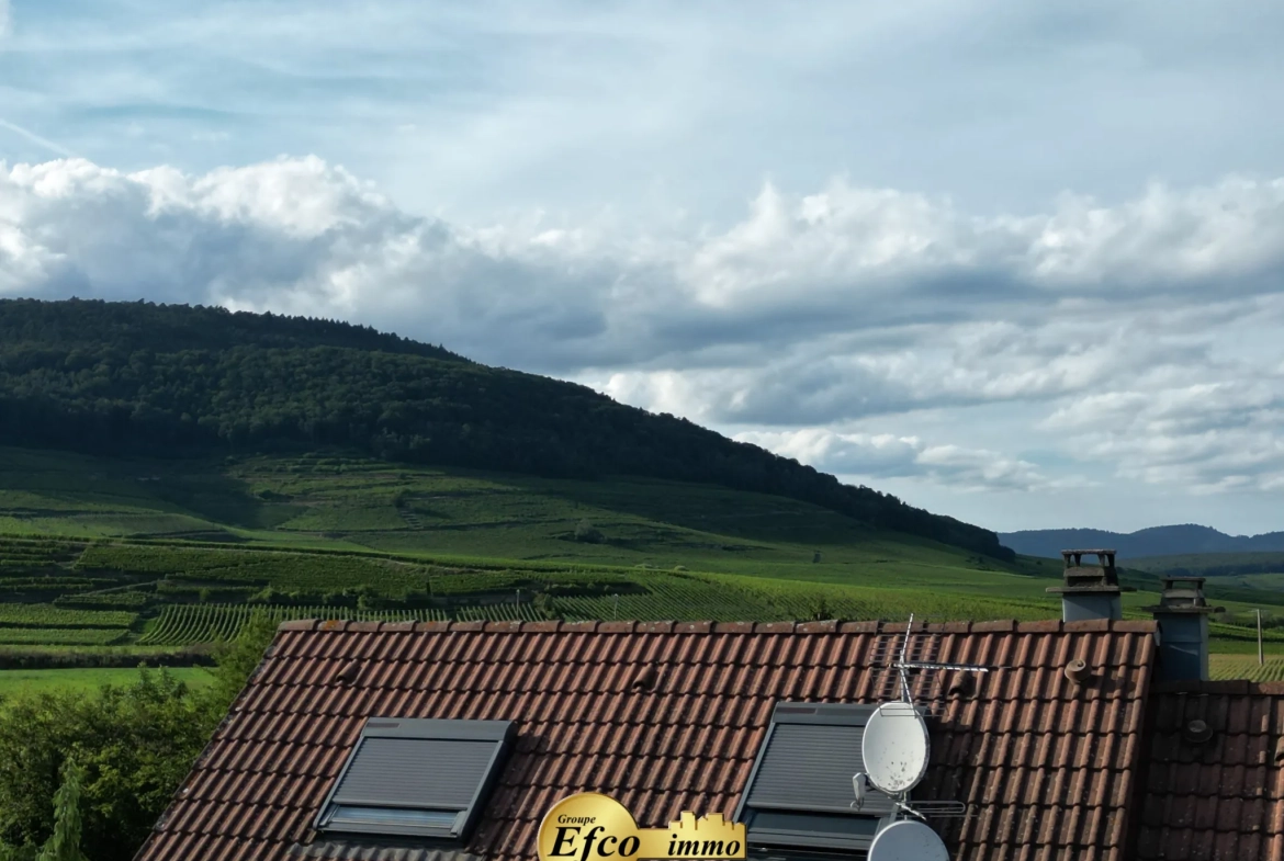 Maison spacieuse de 135 m² avec véranda à Issenheim – proche commodités 