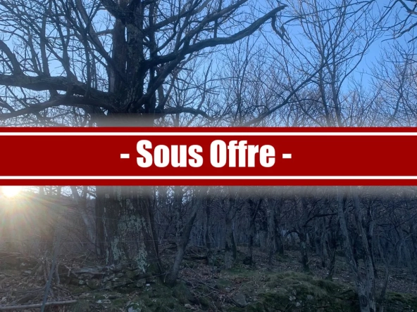 À vendre ancien verger de châtaigniers certifié bio à Les Vans
