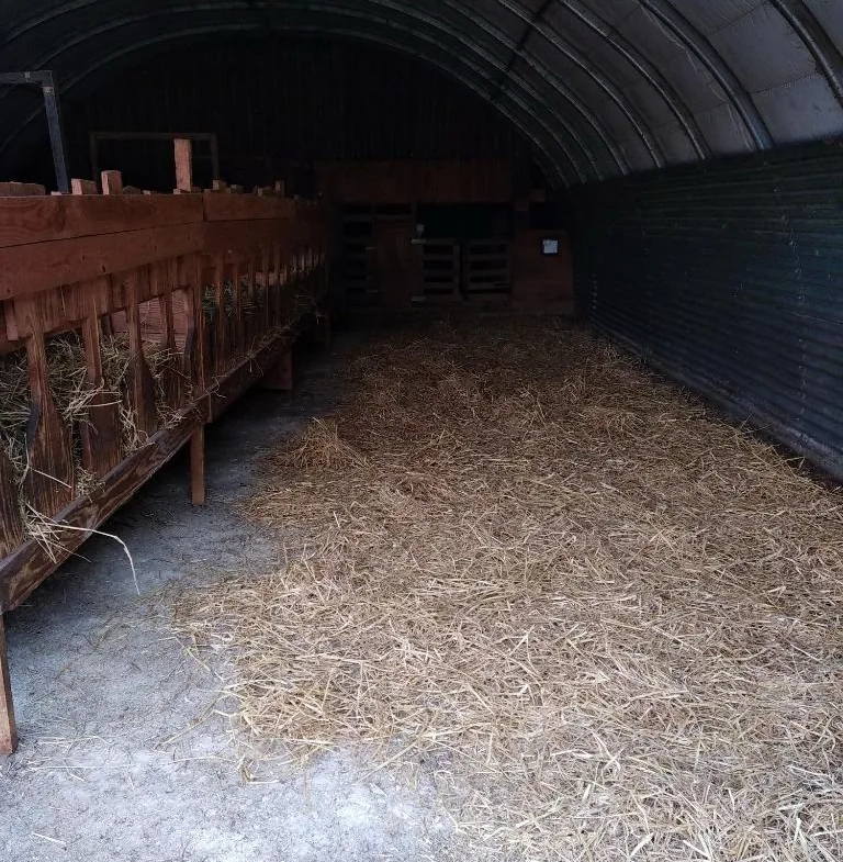 À vendre ancien verger de châtaigniers certifié bio à Les Vans 