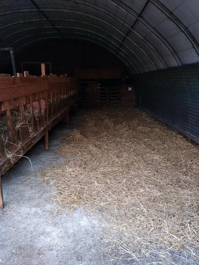 À vendre ancien verger de châtaigniers certifié bio à Les Vans 