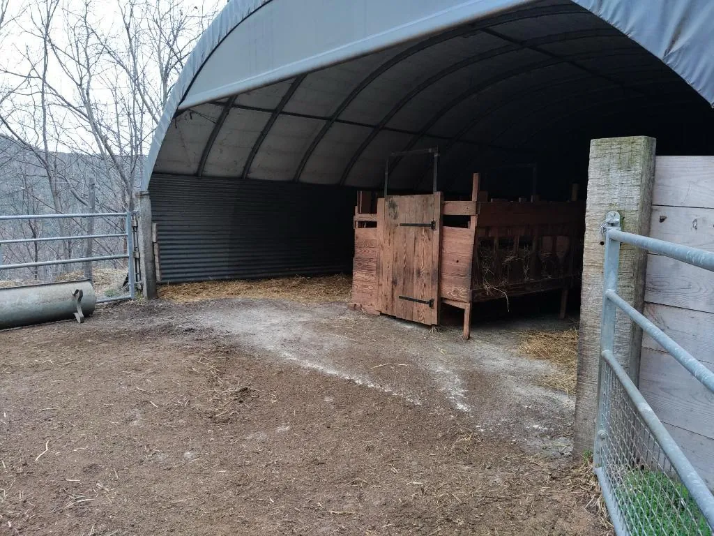 À vendre ancien verger de châtaigniers certifié bio à Les Vans 