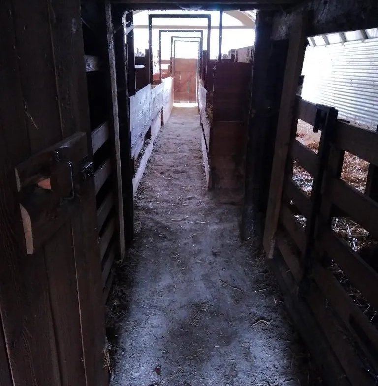 À vendre ancien verger de châtaigniers certifié bio à Les Vans 
