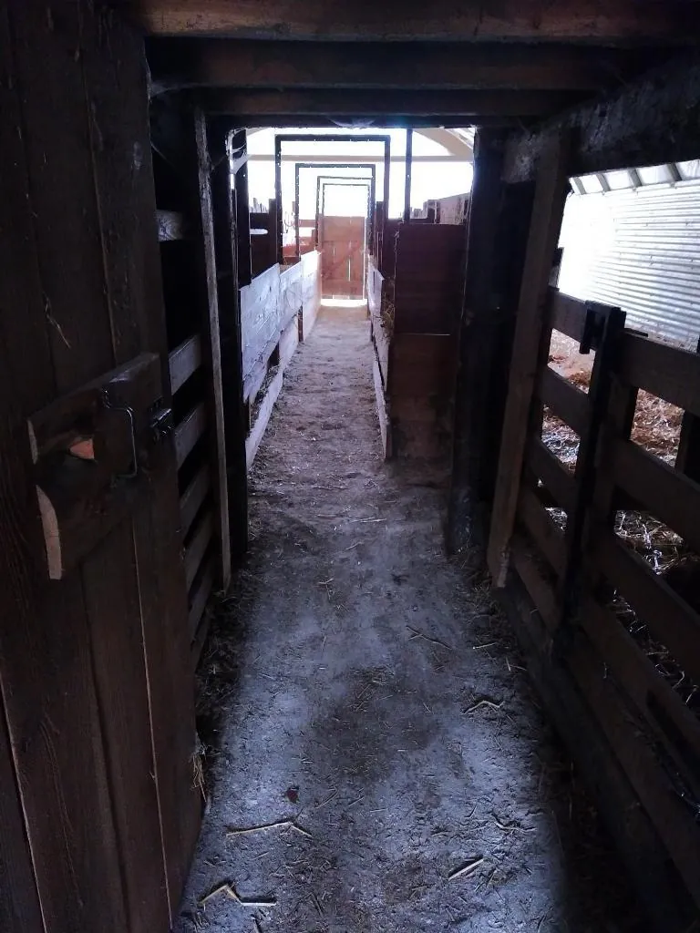 À vendre ancien verger de châtaigniers certifié bio à Les Vans 