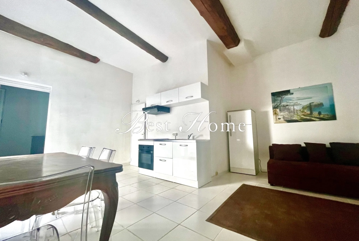 Appartement T2 à vendre à Nîmes, 48 m2 avec cave voutée, proche de la Maison Carrée 