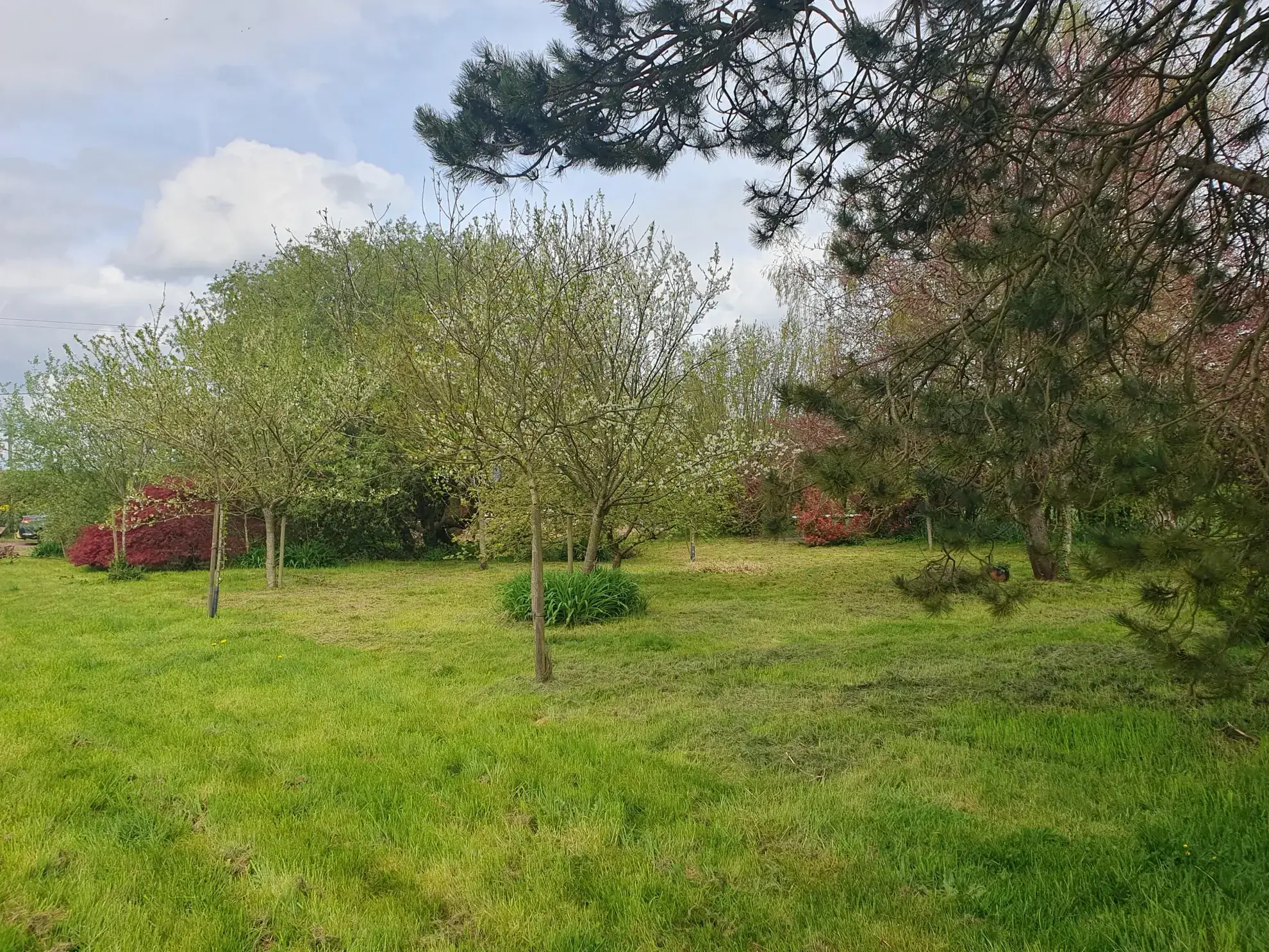 Maison rénovée avec jardin à Cormeilles en Normandie - 3 pièces, 2 chambres 