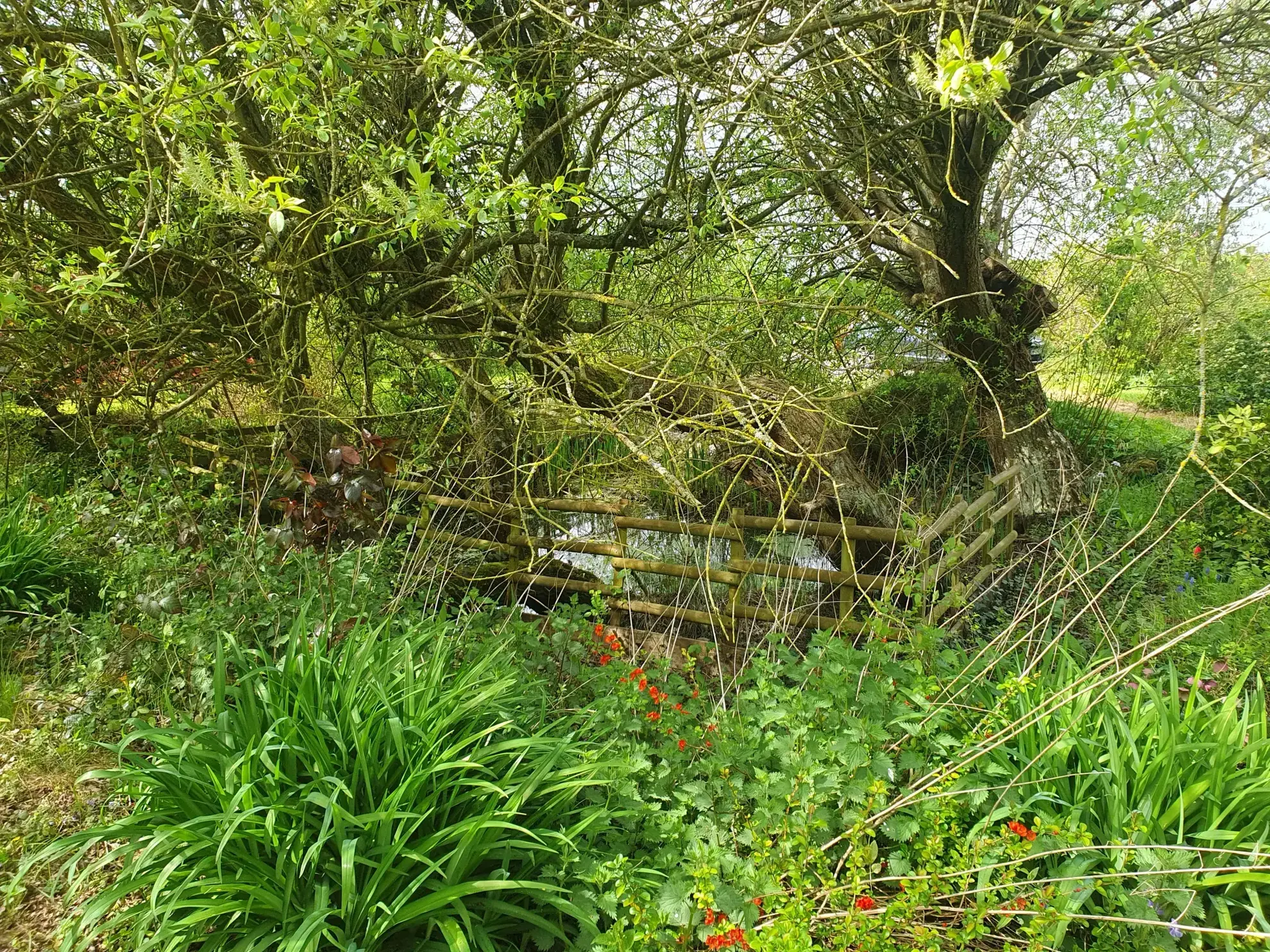 Maison rénovée avec jardin à Cormeilles en Normandie - 3 pièces, 2 chambres 