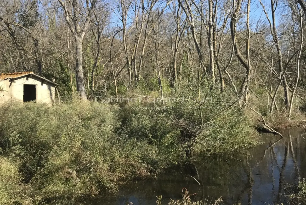 Terrain de loisir de 1488 m² avec mazot à Mauguio, proche de l'étang de l'Or 