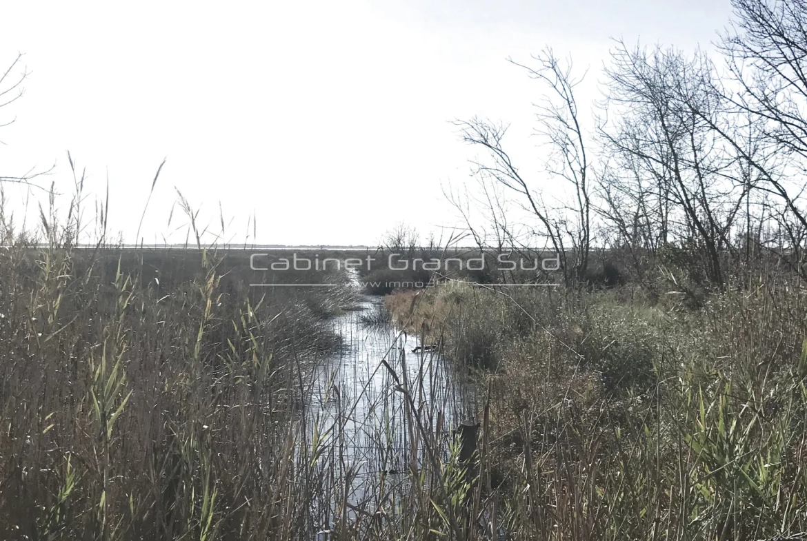 Terrain de loisir de 1488 m² avec mazot à Mauguio, proche de l'étang de l'Or 