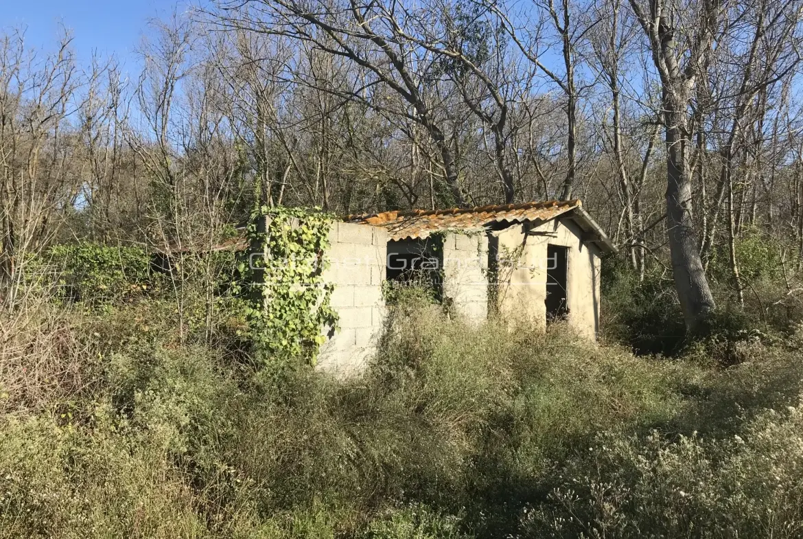 Terrain de loisir de 1488 m² avec mazot à Mauguio, proche de l'étang de l'Or 