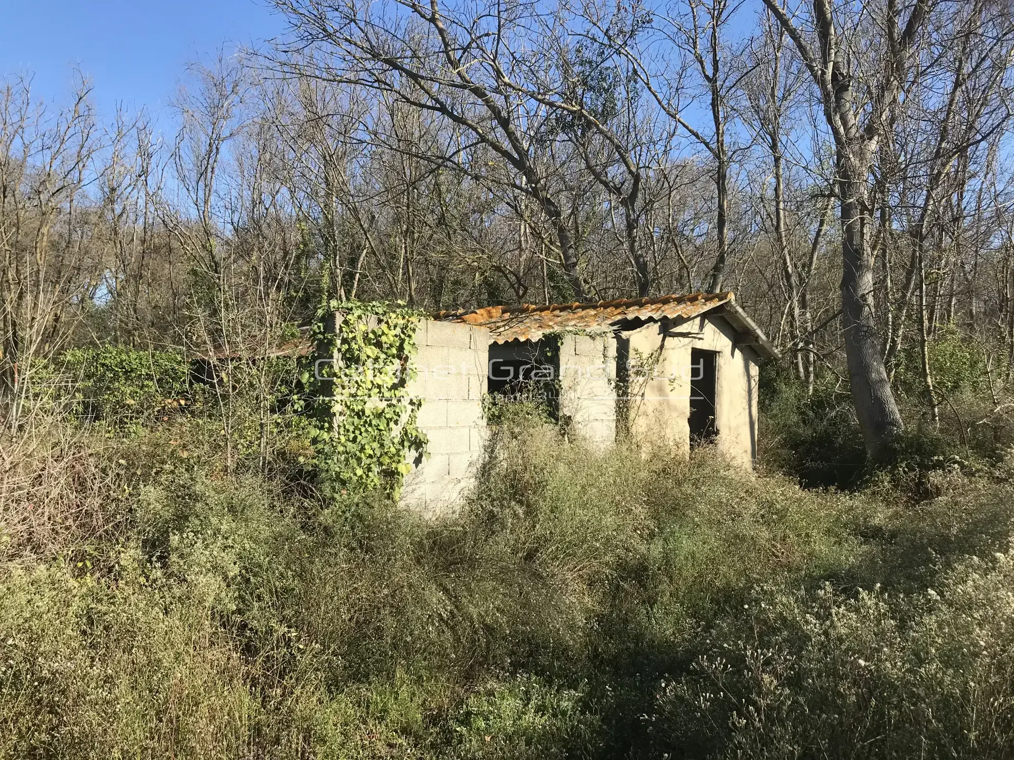 Terrain de loisir de 1488 m² avec mazot à Mauguio, proche de l'étang de l'Or 