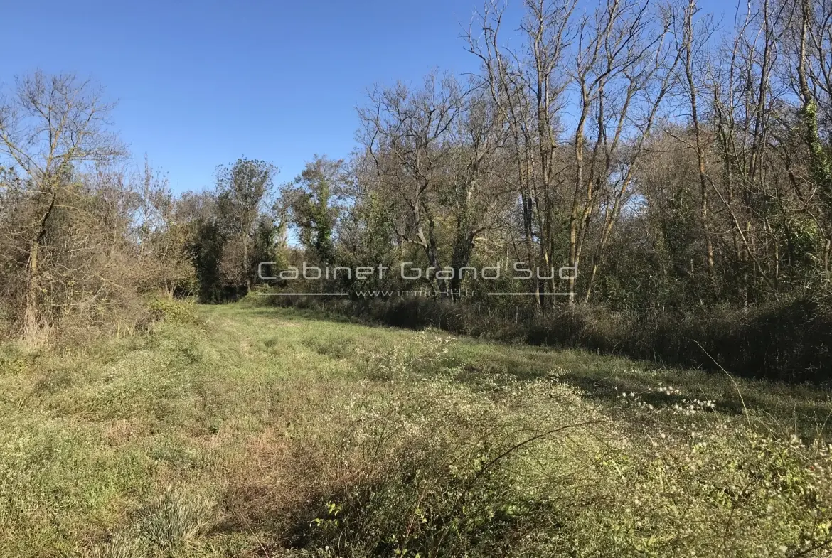 Terrain de loisir de 1488 m² avec mazot à Mauguio, proche de l'étang de l'Or 