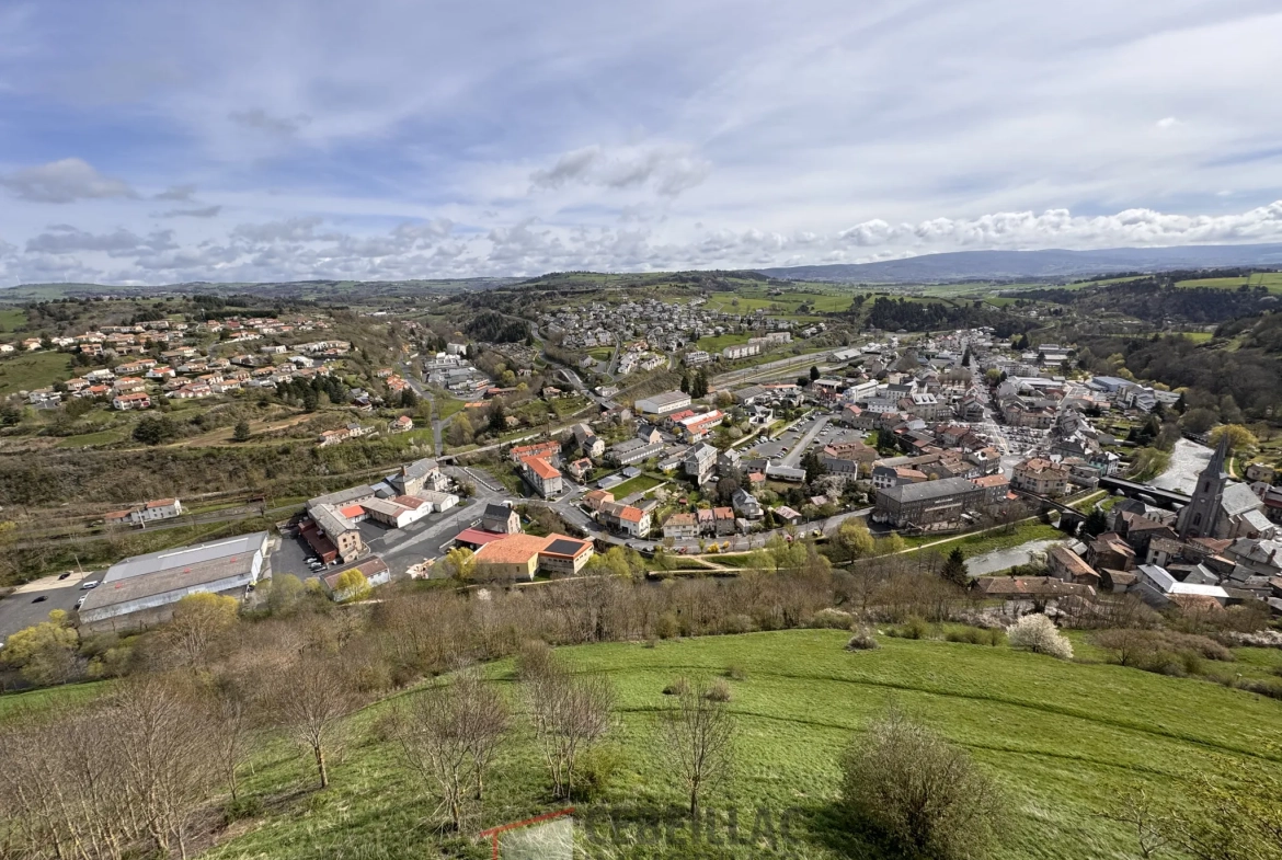 Maison familiale à Saint-Flour avec vue imprenable et proche centre historique 