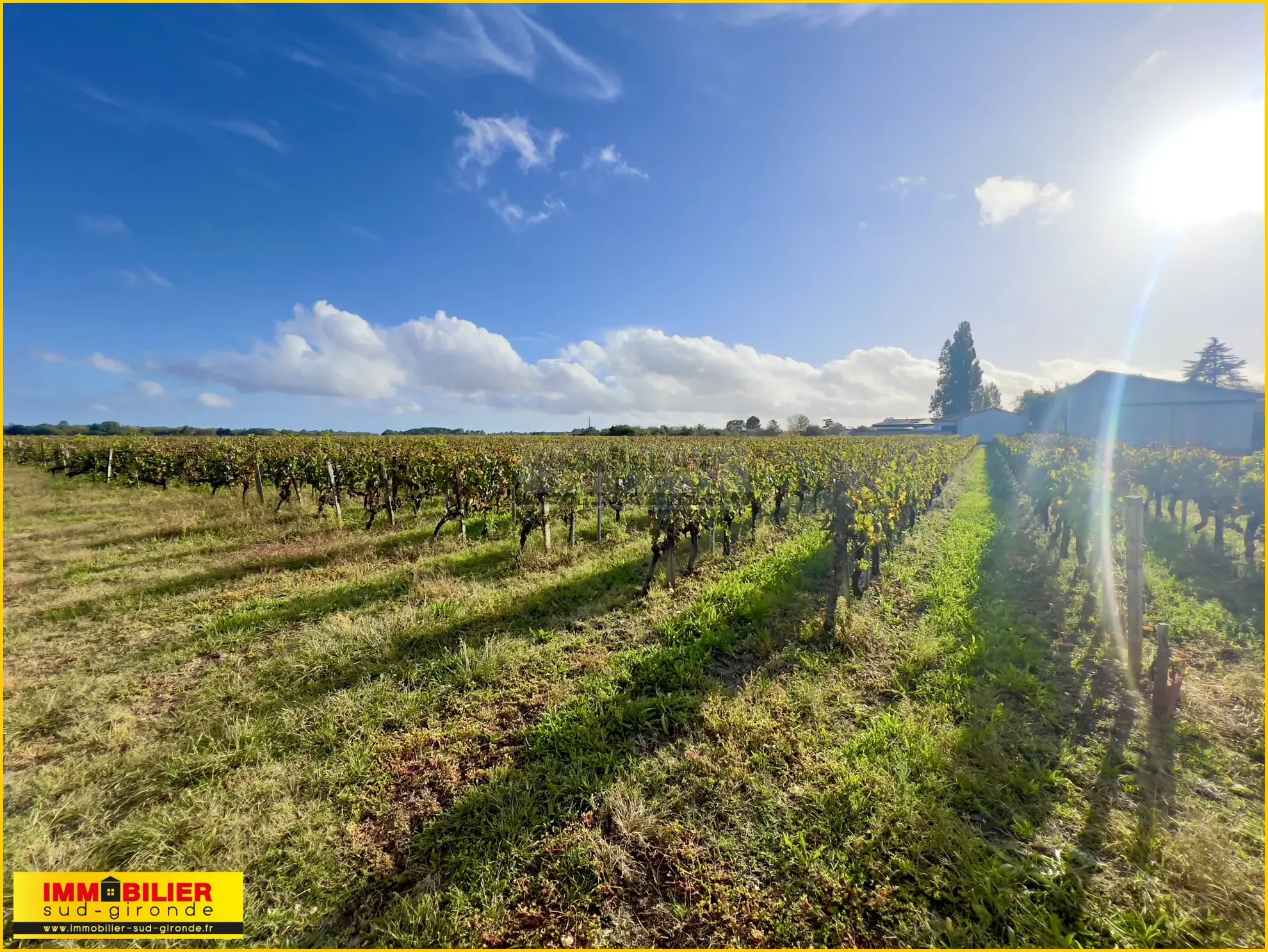 Terrain à bâtir exceptionnel à Portets avec vue sur vignobles 