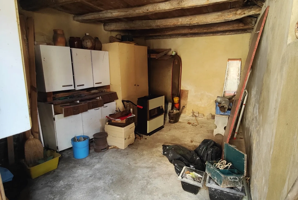 Maison avec potentiel à Brienon-sur-Armançon - Espace extérieur et travaux à prévoir 