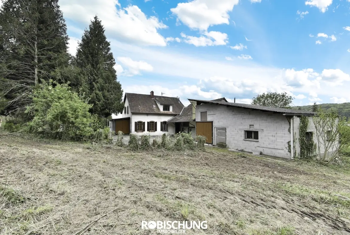 Maison de village à Muespach avec grand terrain et dépendances, à rénover 