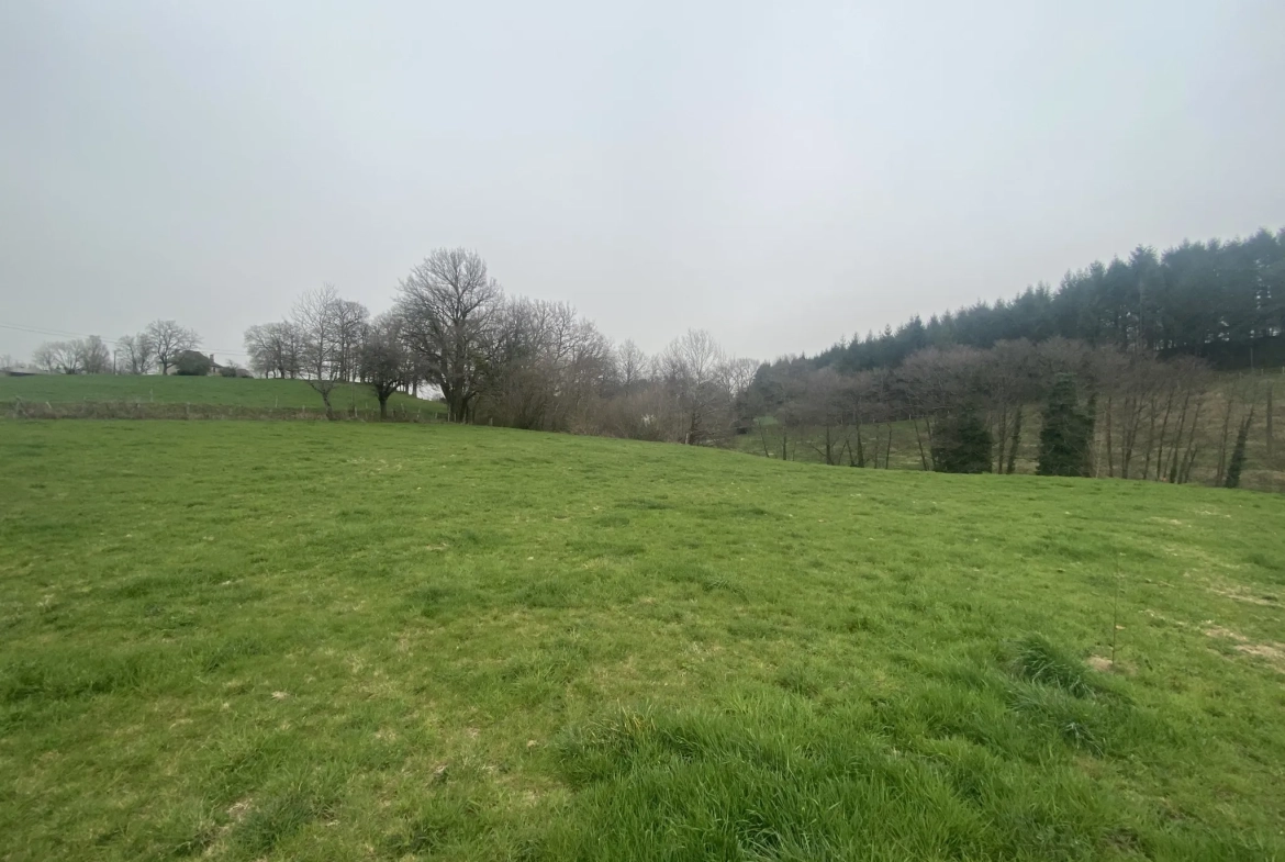 Terrain à bâtir de 2000 m² à Servières-le-Château en Périgord Vert 