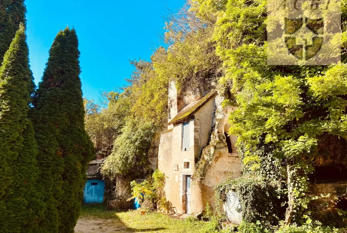 Maison de caractère avec jardin et caves troglodytiques à Vendôme 