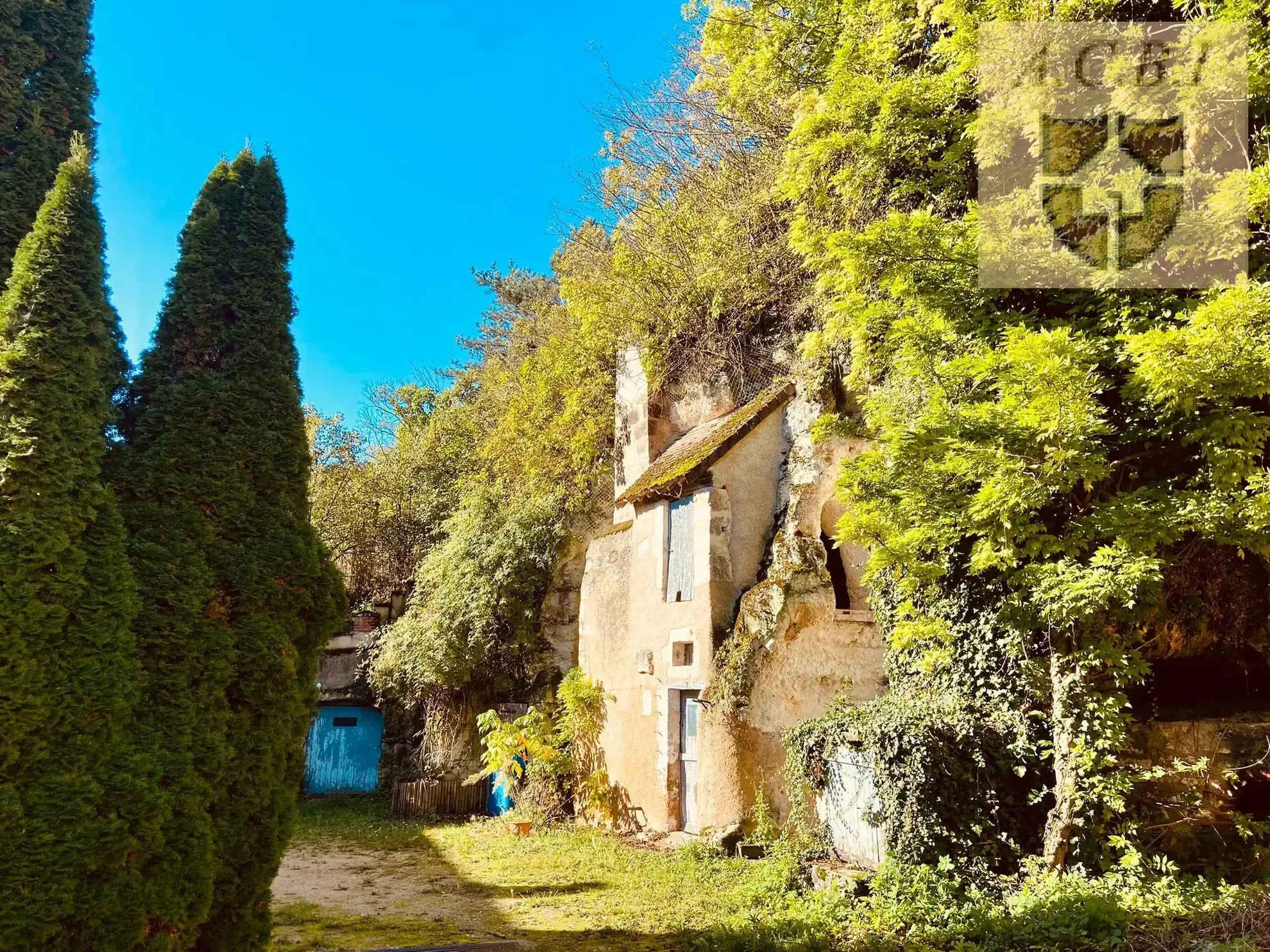 Maison de caractère avec jardin et caves troglodytiques à Vendôme 