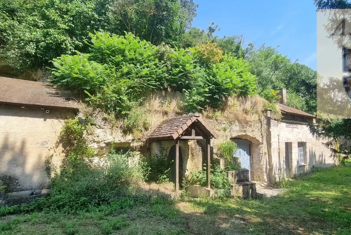 Maison de caractère avec jardin et caves troglodytiques à Vendôme 