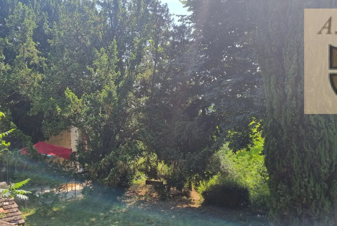 Maison de caractère avec jardin et caves troglodytiques à Vendôme 