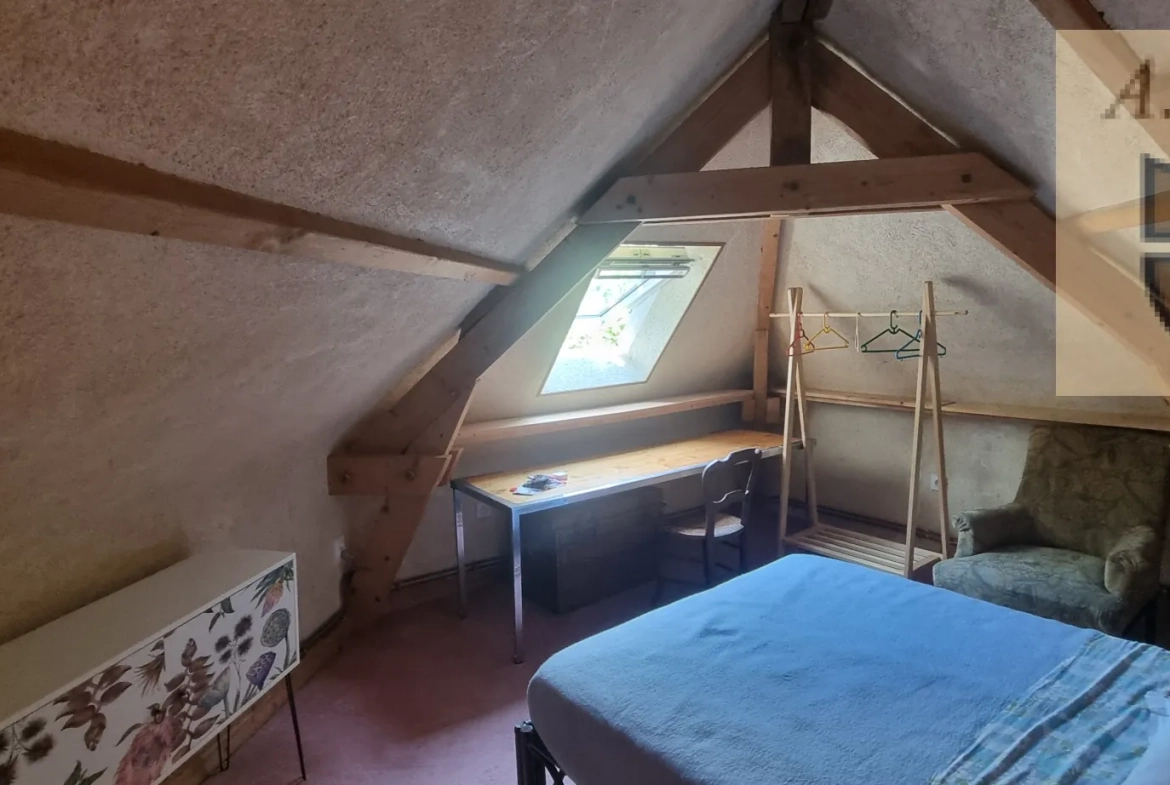 Maison de caractère avec jardin et caves troglodytiques à Vendôme 
