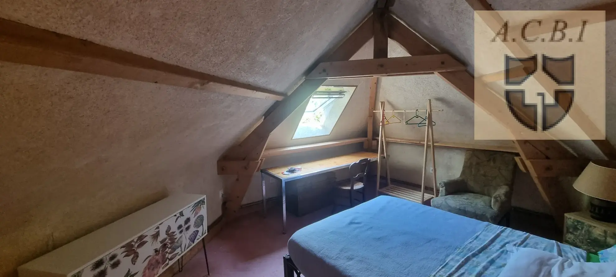 Maison de caractère avec jardin et caves troglodytiques à Vendôme 