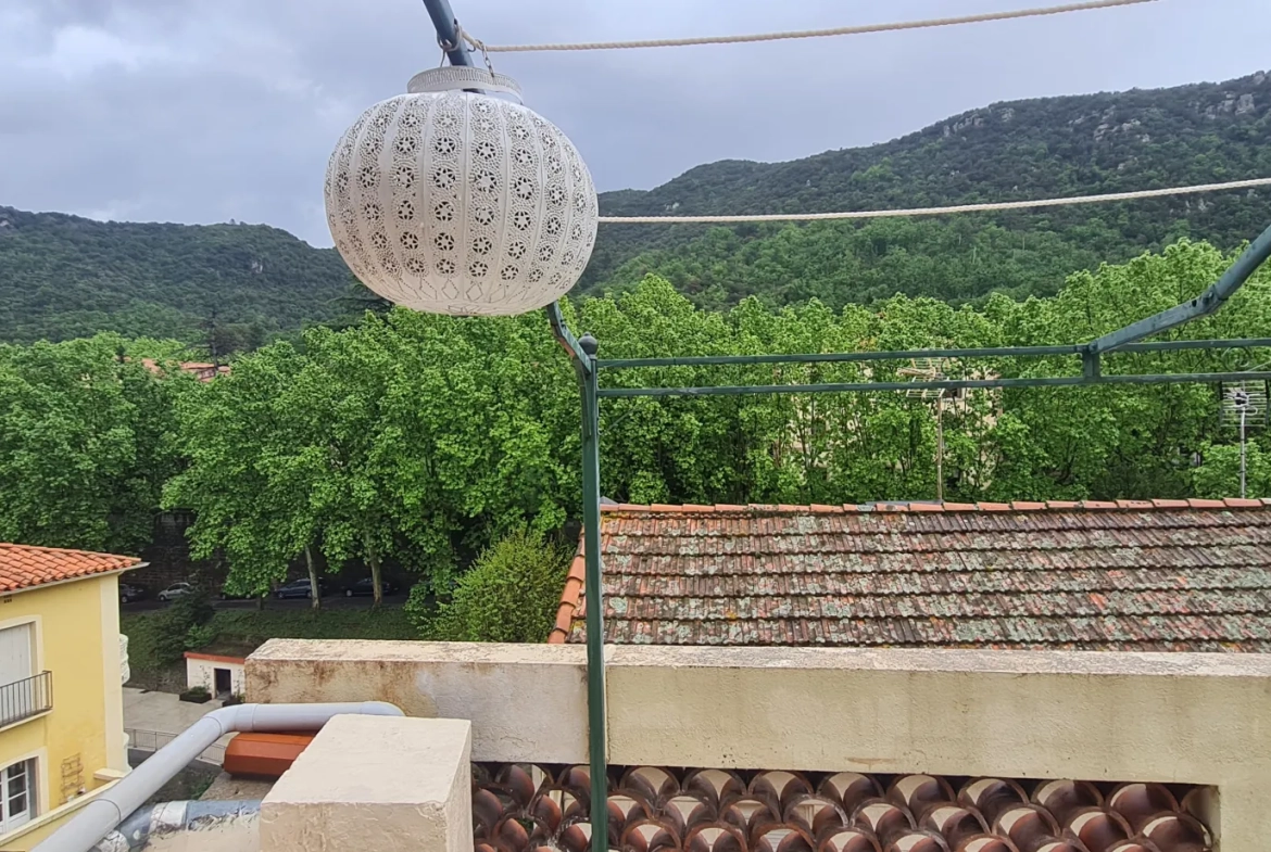 Appartement F2 avec terrasse à Amélie-les-Bains, vue montagne, proche thermes 