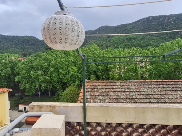 Appartement F2 avec terrasse à Amélie-les-Bains, vue montagne, proche thermes 