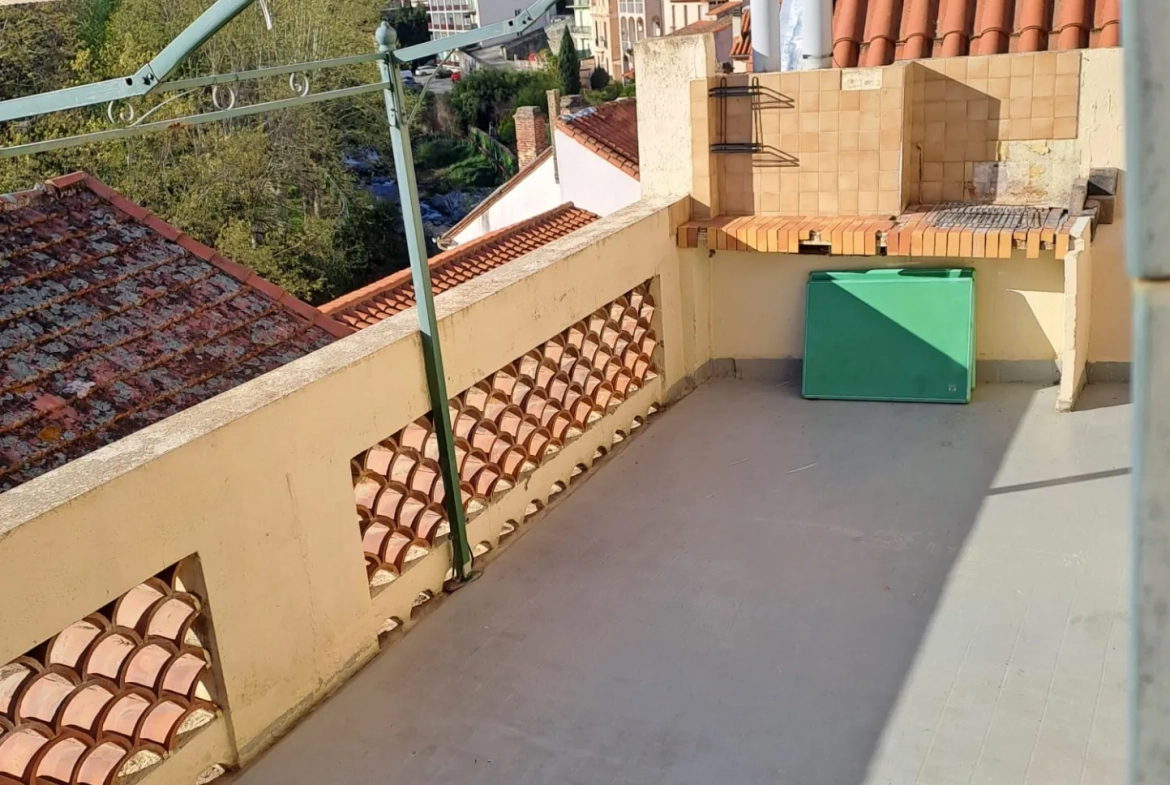 Appartement F2 avec terrasse à Amélie-les-Bains, vue montagne, proche thermes 