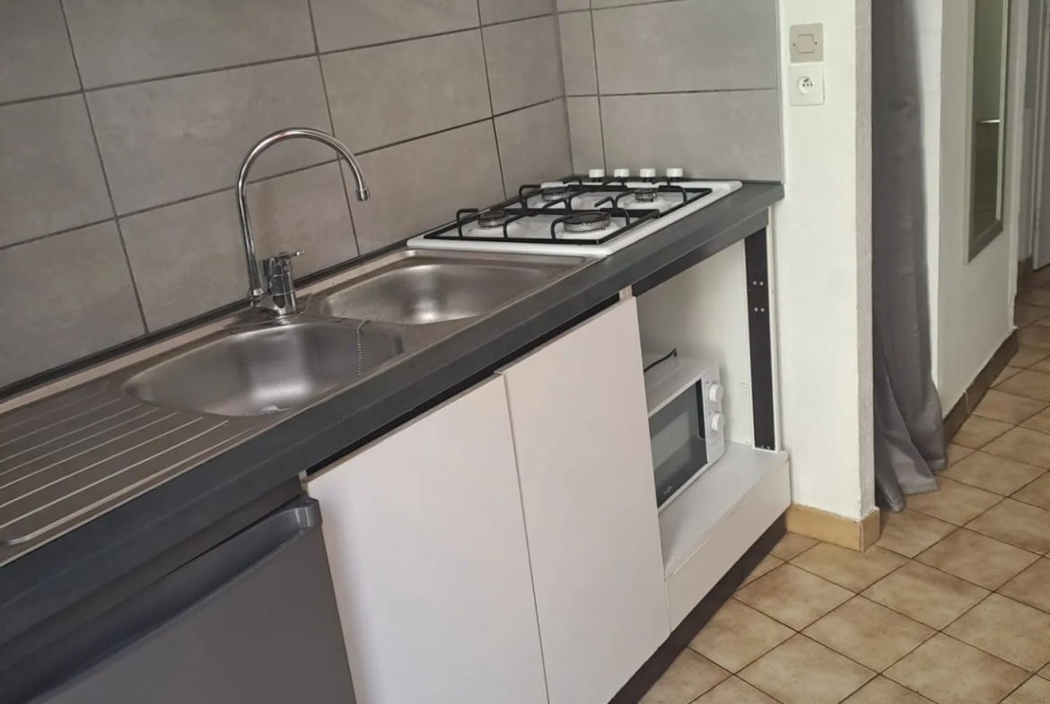 Appartement F2 avec terrasse à Amélie-les-Bains, vue montagne, proche thermes 