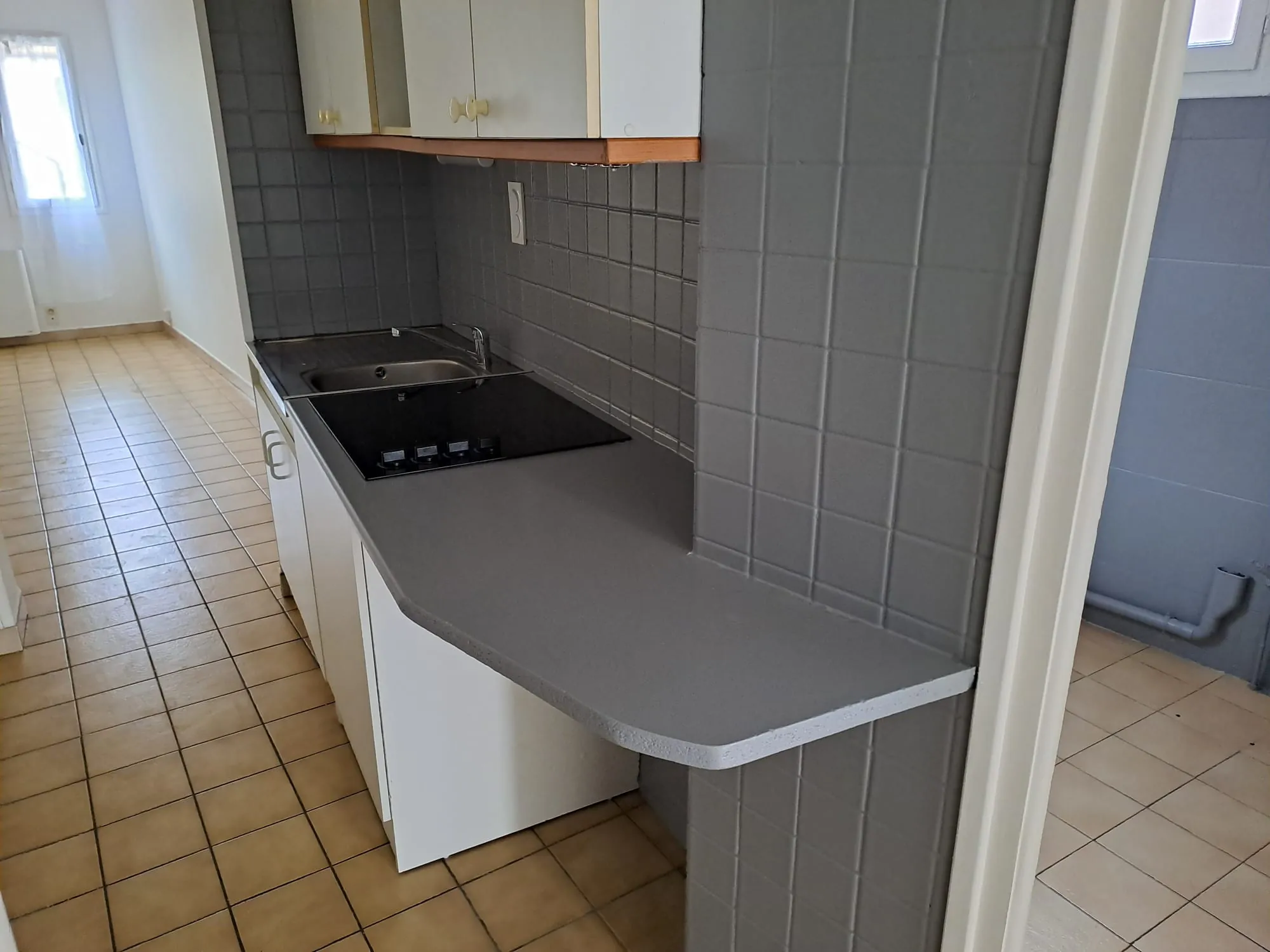 Appartement F2 avec terrasse à Amélie-les-Bains, vue montagne, proche thermes 