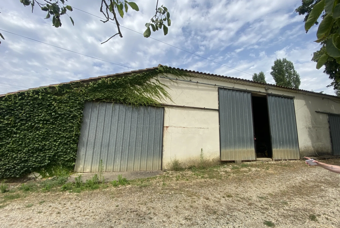 Maison avec dépendance et grand terrain près de Sauveterre de Guyenne 