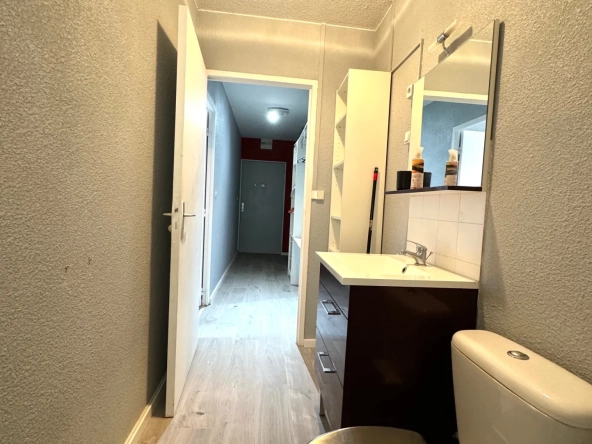Studio meublé à vendre à Saint-Étienne, 28 m², idéal investisseur ou premier achat 