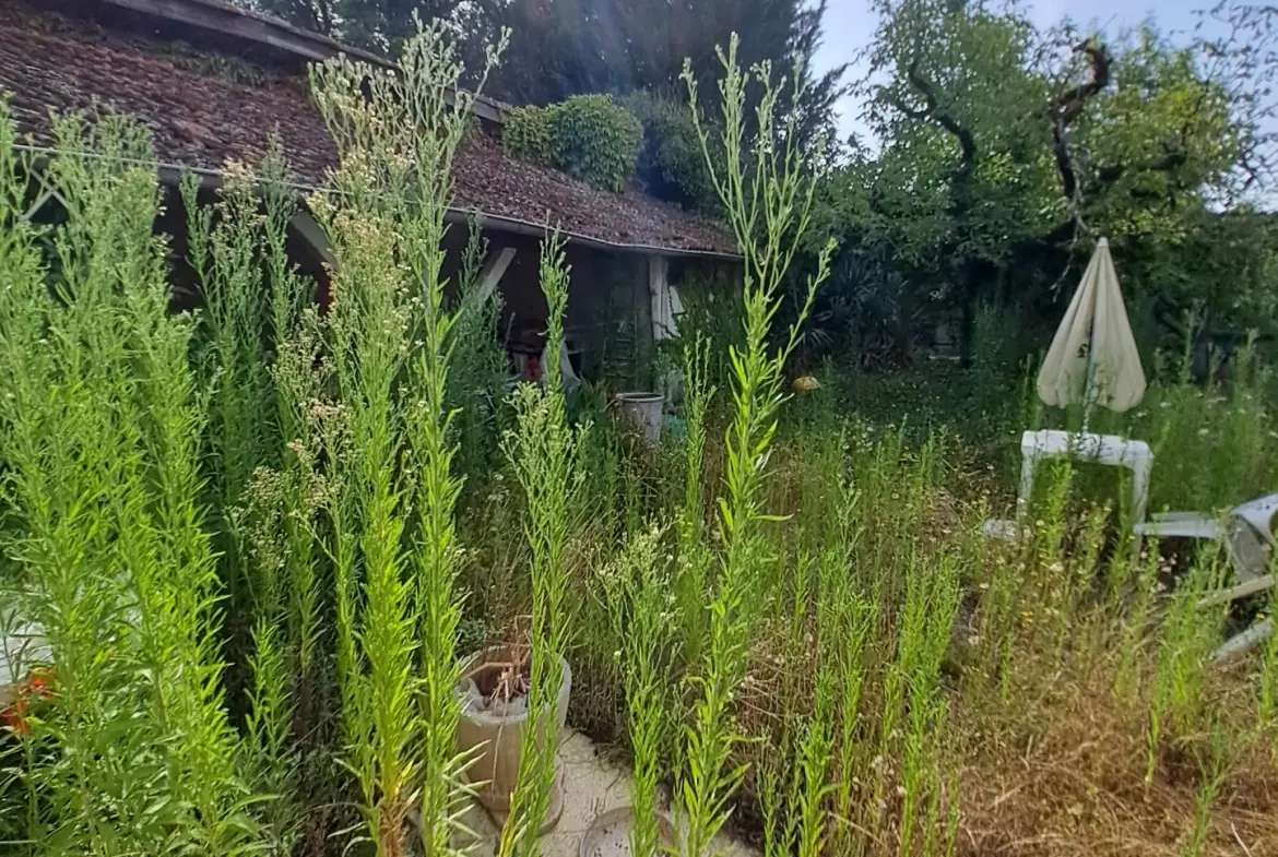 Maison de village à rénover dans le Gers avec terrains et garage 