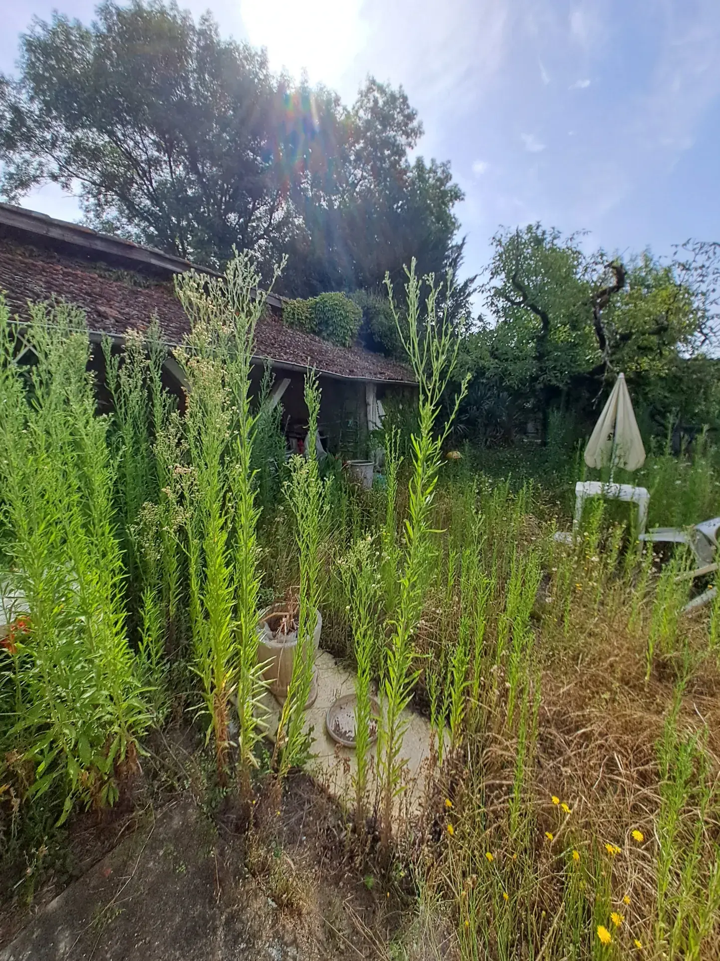 Maison de village à rénover dans le Gers avec terrains et garage 