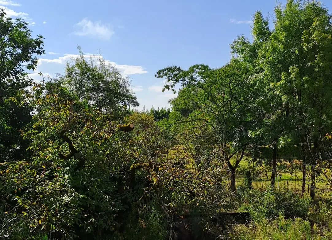 Maison de village à rénover dans le Gers avec terrains et garage 