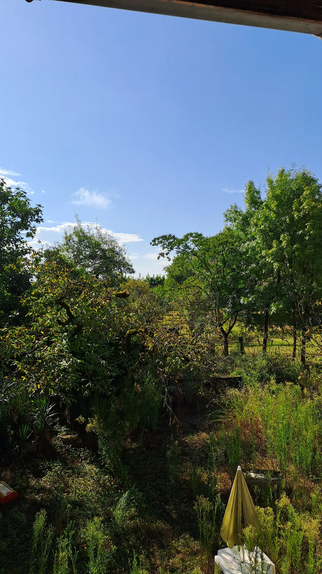 Maison de village à rénover dans le Gers avec terrains et garage 