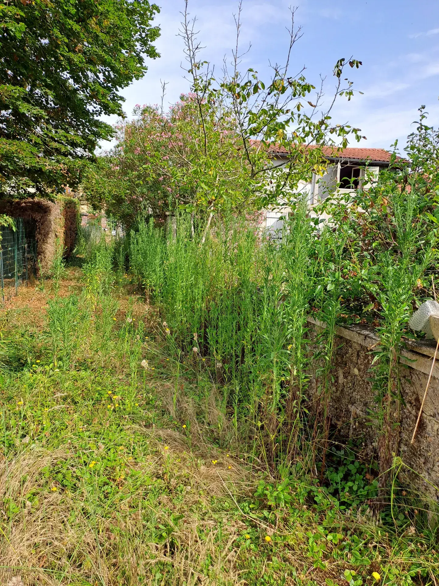 Maison de village à rénover dans le Gers avec terrains et garage 