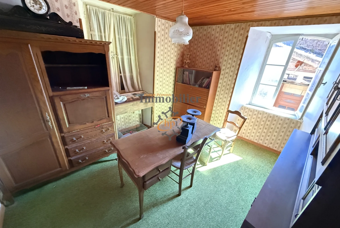 Maison en pierre à vendre à Saint Izaire, Aveyron - 5 chambres, terrasse, village de caractère 